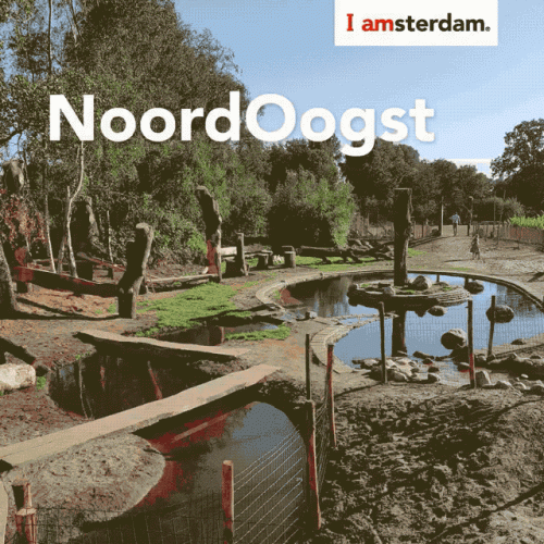 maakt-amsterdam-mokum-social-4